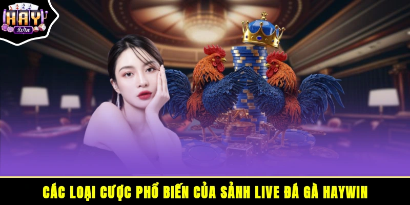 Các loại cược phổ biến của Sảnh Live đá gà HAYWIN