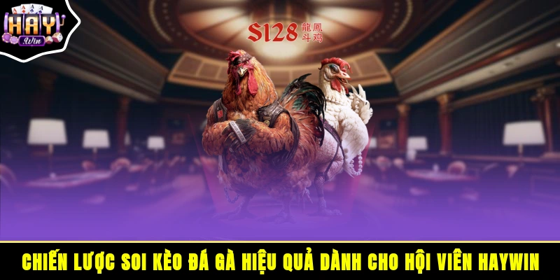 Chiến lược soi kèo đá gà hiệu quả dành cho hội viên HAYWIN
