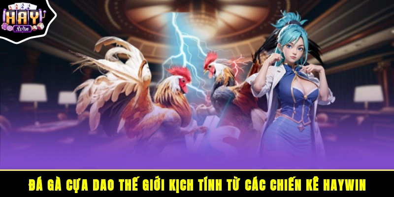 Đá gà cựa dao
