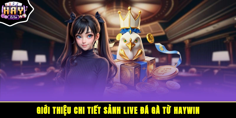 Giới thiệu chi tiết Sảnh Live đá gà từ HAYWIN