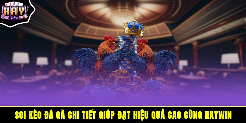 Soi kèo đá gà