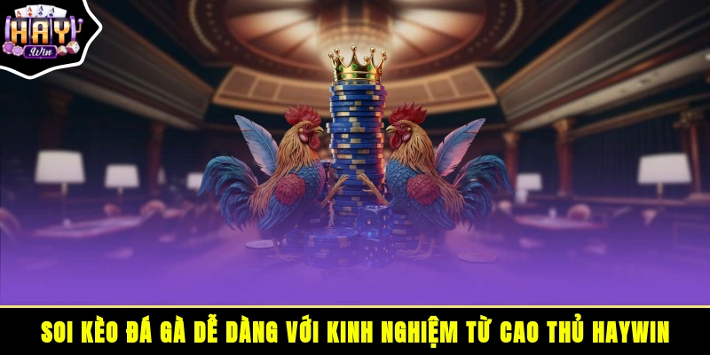 Soi kèo đá gà dễ dàng với kinh nghiệm từ cao thủ HAYWIN