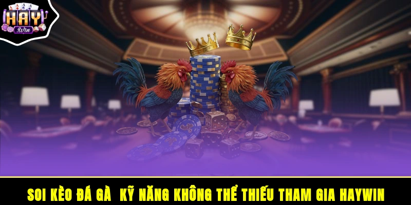 Soi kèo đá gà - Kỹ năng không thể thiếu tham gia HAYWIN