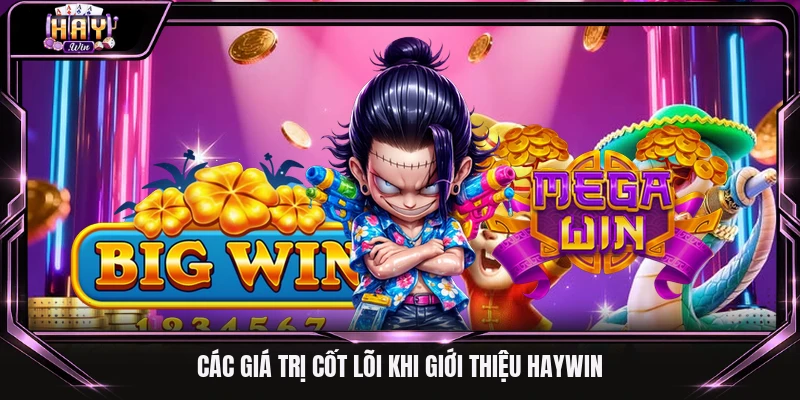 Các giá trị cốt lõi khi giới thiệu Haywin