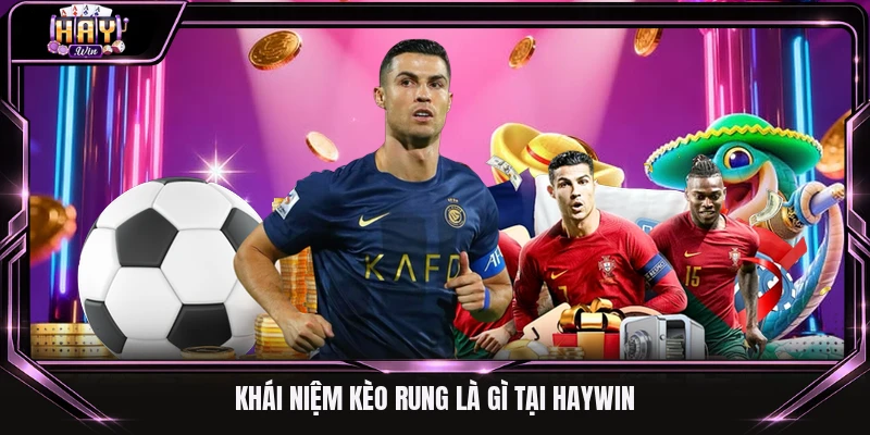 Khái niệm kèo rung là gì tại Haywin