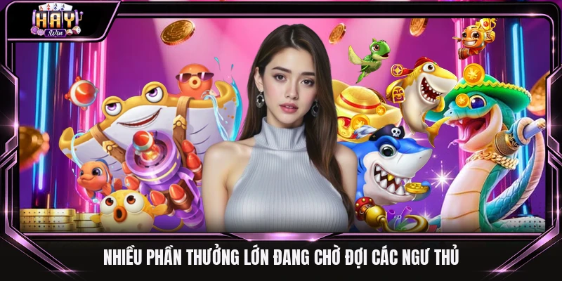 Nhiều phần thưởng lớn đang chờ đợi các ngư thủ